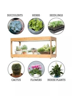 Low Bamboo LED Grow Light Garden -Plant Sale Shop 8597720 3