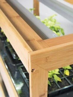 Bamboo LED Grow Light Garden For Succulents And Seeds -Plant Sale Shop 8597720 7795 tif 2