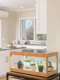 Low Bamboo LED Grow Light Garden -Plant Sale Shop 8597720 9385 tif