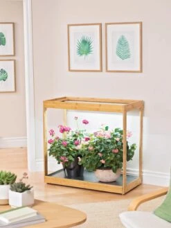 Medium Bamboo LED Grow Light Garden -Plant Sale Shop 8597883 9279 tif