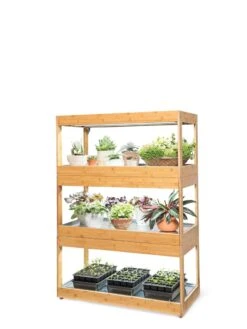 Bamboo LED Grow Light Garden For Succulents And Seeds -Plant Sale Shop 8598084 3000 tif