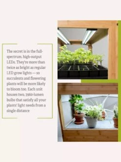 Bamboo LED Grow Light Garden For Succulents And Seeds -Plant Sale Shop 8598084 7