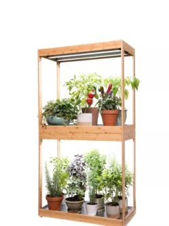 Bamboo Display LED Grow Light Garden -Plant Sale Shop 8598086 4000 tif