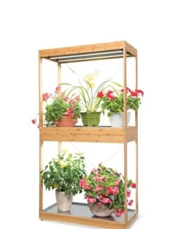 Bamboo Display LED Grow Light Garden -Plant Sale Shop 8598086 4001 tif