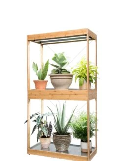 Bamboo Display LED Grow Light Garden -Plant Sale Shop 8598086 4003 tif