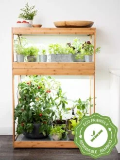 Bamboo Home LED Grow Light Garden