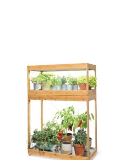 Bamboo Home LED Grow Light Garden -Plant Sale Shop 8598088 8000 tif