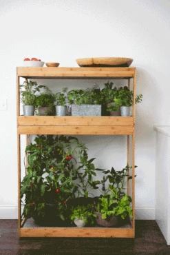 Bamboo Home LED Grow Light Garden -Plant Sale Shop 8598088 BambooLEDHomeGarden light gif