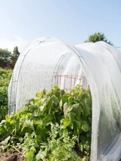 Super Hoop Bases, Set Of 6 -Plant Sale Shop 8598301 0591 tif