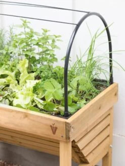 VegTrug® Mini Wallhugger Planter With Cover 8 VegTrug® Mini Wallhugger Planter With Cover -Plant Sale Shop 8598339 4004 tif
