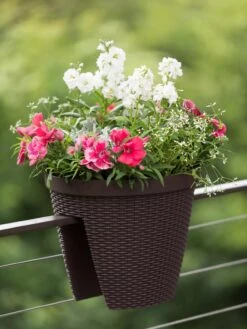 Weave Round Railing Planter, 11" -Plant Sale Shop 8598370 8584 tif