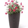 Weave Self-Watering Round Tall Planter, 12-1/2"