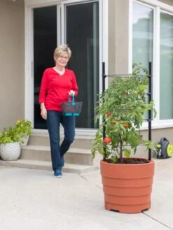 Gardener’s Victory Self-Watering Planter With Support System -Plant Sale Shop 8598384 6011 tif