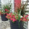 Gardener’s Victory Self-Watering Patio Planter