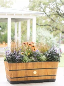 VegTrug™ Trough Planters -Plant Sale Shop 8598402 8880 tif