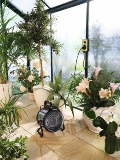 Biogreen Palma 1.5 KW Greenhouse Heater 9 Biogreen Palma 1.5 KW Greenhouse Heater -Plant Sale Shop 8598721 07V tif