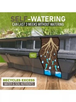 Vegepod Raised Garden Beds 11 Vegepod Raised Garden Beds -Plant Sale Shop 8598930 02V