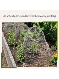 Chicken Wire Cloche Extension 11 Chicken Wire Cloche Extension -Plant Sale Shop 8599107 2