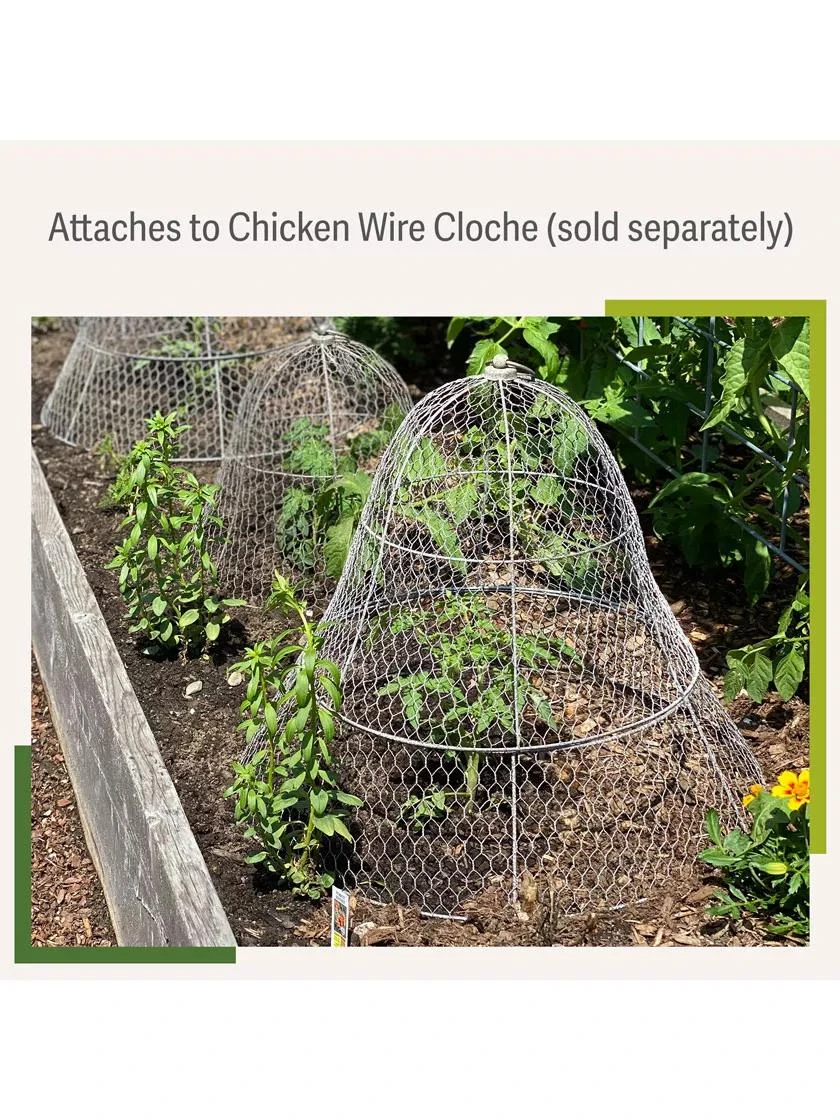 Chicken Wire Cloche Extension 4 Chicken Wire Cloche Extension - Image 4