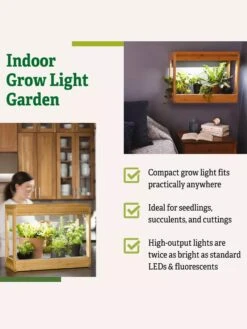 Bamboo Mini LED Grow Light Garden -Plant Sale Shop 8599624 04