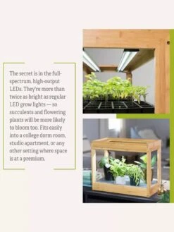 Bamboo Mini LED Grow Light Garden -Plant Sale Shop 8599624 06