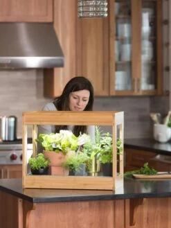 Bamboo Mini LED Grow Light Garden -Plant Sale Shop 8599624 12532 tif