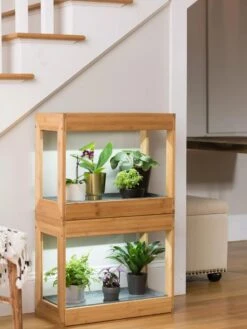 Bamboo Mini LED Grow Light Garden -Plant Sale Shop 8599624 12746 tif