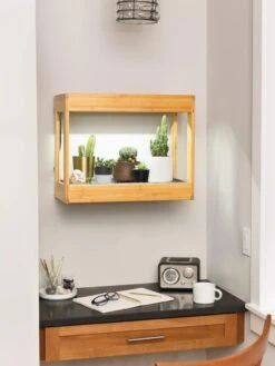 Bamboo Mini LED Grow Light Garden -Plant Sale Shop 8599624 12872 tif