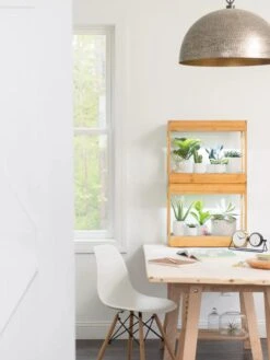 Bamboo Mini LED Grow Light Garden -Plant Sale Shop 8599624 13244 tif