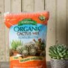 Espoma Cactus Potting Mix, 4 Quart
