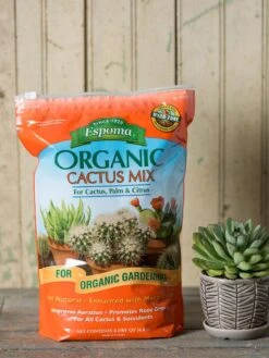 Plant Sale Shop 13 Espoma Cactus Potting Mix, 4 Quart
