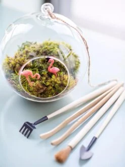 Terrarium Tools, Set Of 4 -Plant Sale Shop 8599884 01V tif