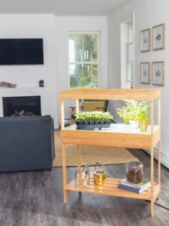 Stand For Low Bamboo Grow Light -Plant Sale Shop 8599950 18175 tif