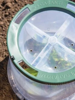 Sunny Forcing Cloches, Set Of 3 9 Sunny Forcing Cloches, Set Of 3 -Plant Sale Shop 8600075 0742 tif