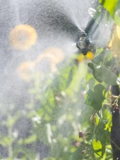 Landscape 4-Way Cooling Mist Kit, 50' -Plant Sale Shop 8600154 0695 tif