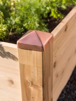 Copper Cap Raised Beds -Plant Sale Shop 8600496 0564 tif