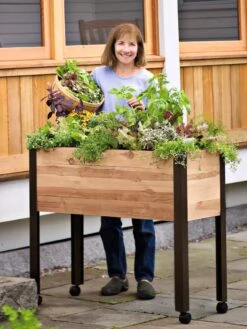 Rolling Patio Garden -Plant Sale Shop 8608781 01 tif