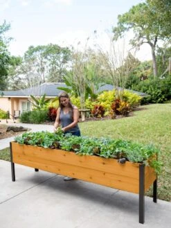Self-Watering Eco-Stained Elevated Planter Box, 2' X 8' -Plant Sale Shop 8608965 6069 tif