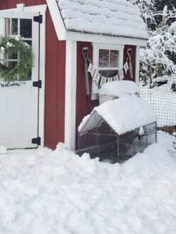 Chicken Wire Crop Coop -Plant Sale Shop 8609080 03IN tif