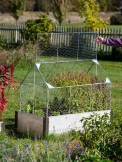 Chicken Wire Crop Coop -Plant Sale Shop 8609080 4024