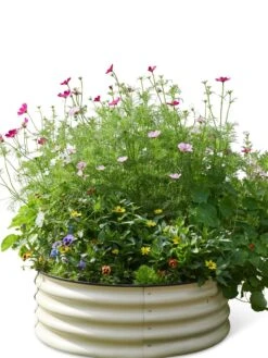 Birdies™ Round Metal Raised Bed -Plant Sale Shop 8609150 06525 tif