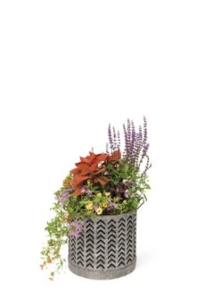 Galvanized Grow Bag Planter 12" -Plant Sale Shop 8609177 0368 tif
