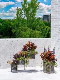 Galvanized Grow Bag Triple Planters With Stand -Plant Sale Shop 8609180 0344 tif