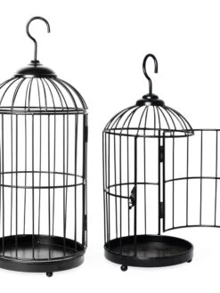 Hanging Birdcage Planter Set -Plant Sale Shop 8609181 02V tif