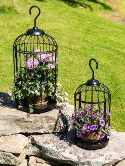 Hanging Birdcage Planter Set -Plant Sale Shop 8609181 0374 tif