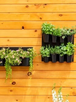 8 Pot Metal Wall Planter -Plant Sale Shop 8609195 6250 tif