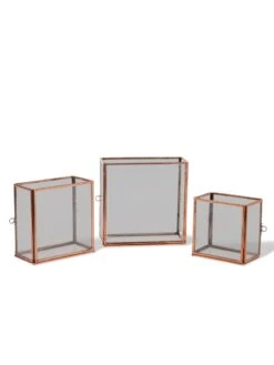 Copper And Glass Terrariums, Set Of 3 -Plant Sale Shop 8609212 0851 tif