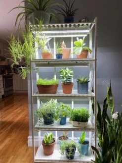 Oslo 4-Tier LED Grow Light Garden 21 Oslo 4-Tier LED Grow Light Garden -Plant Sale Shop 8609220 03IN tif