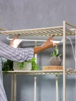 Oslo 4-Tier LED Grow Light Garden 16 Oslo 4-Tier LED Grow Light Garden -Plant Sale Shop 8609220 4123 tif