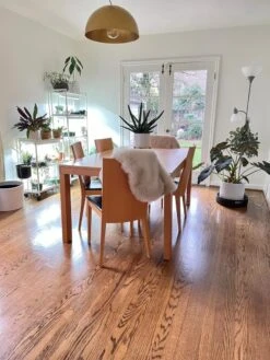 Oslo 2-Tier LED Grow Light Garden, 2 Fixtures -Plant Sale Shop 8609221 01IN tif